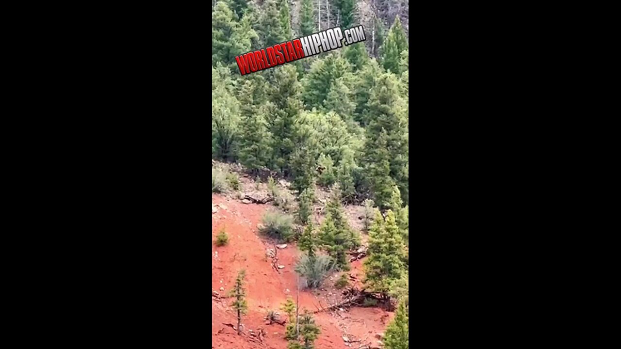 #Bigfoot