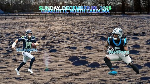 Seattle Seahawks @ Carolina Panthers, Week 17, Diggin' Deeper Into the NFL
