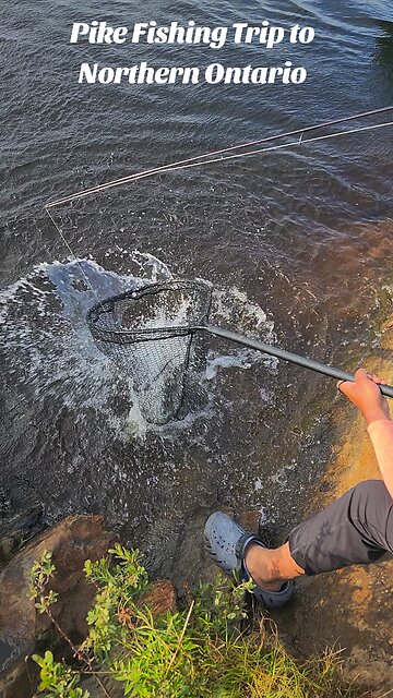 Pike Fishing - Summer 2025 Canada