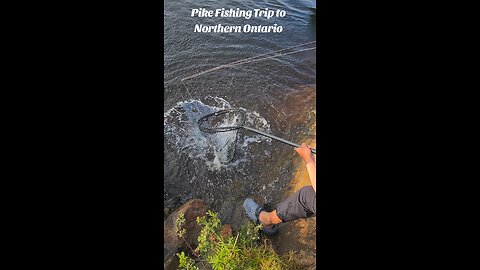 Pike Fishing - Summer 2025 Canada