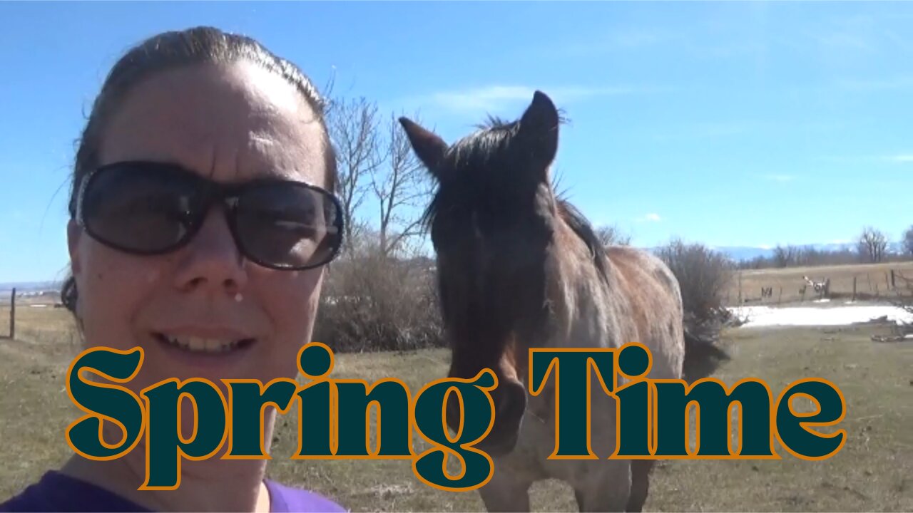 Day in the life of a homesteader: spring time
