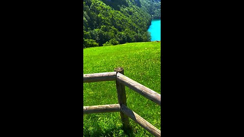 Beautiful nature 0.4 Taka 11.96 and the video 📹 ❤️