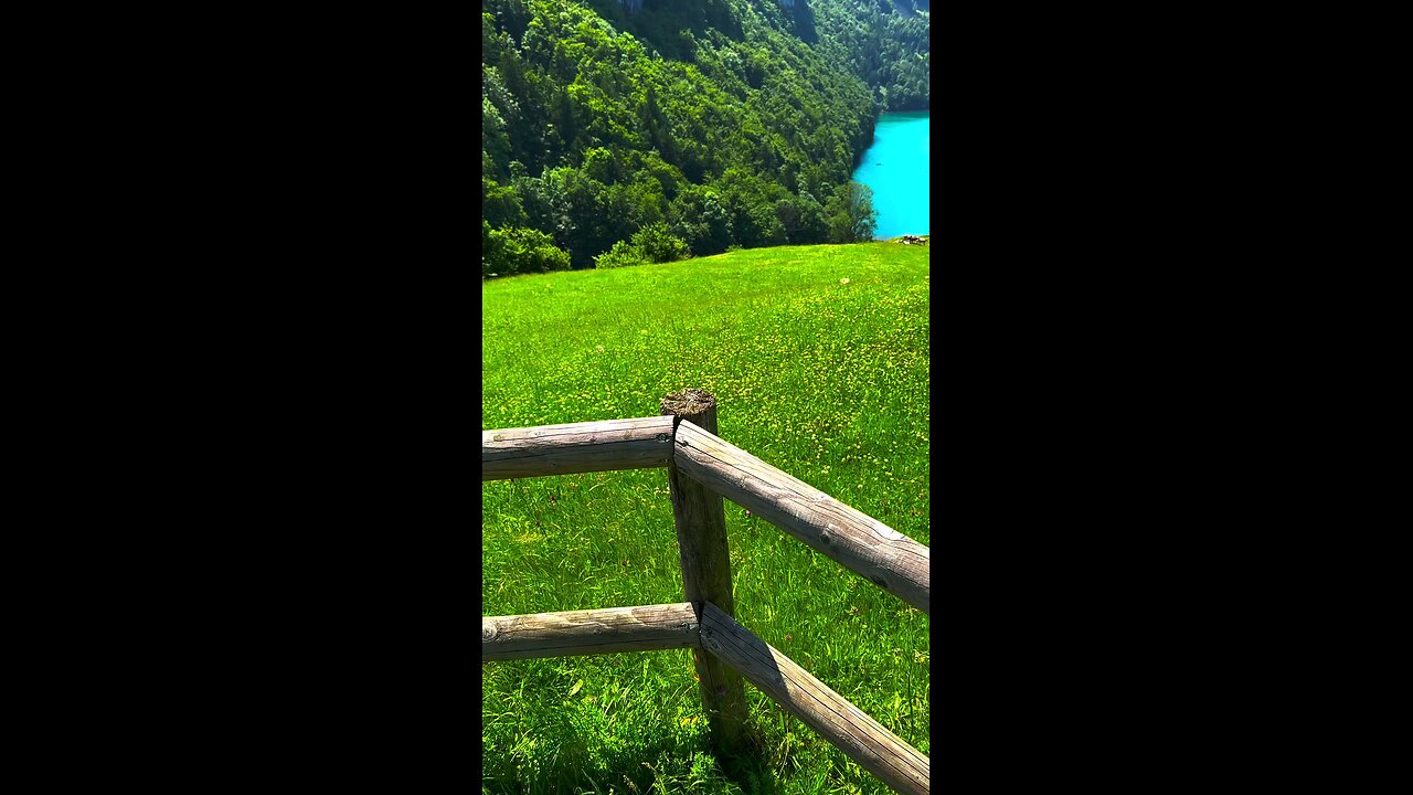 Beautiful nature 0.4 Taka 11.96 and the video 📹 ❤️