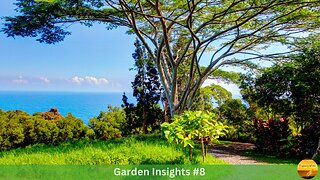Garden Insights #8: Illuminating & Igniting Your True Ark
