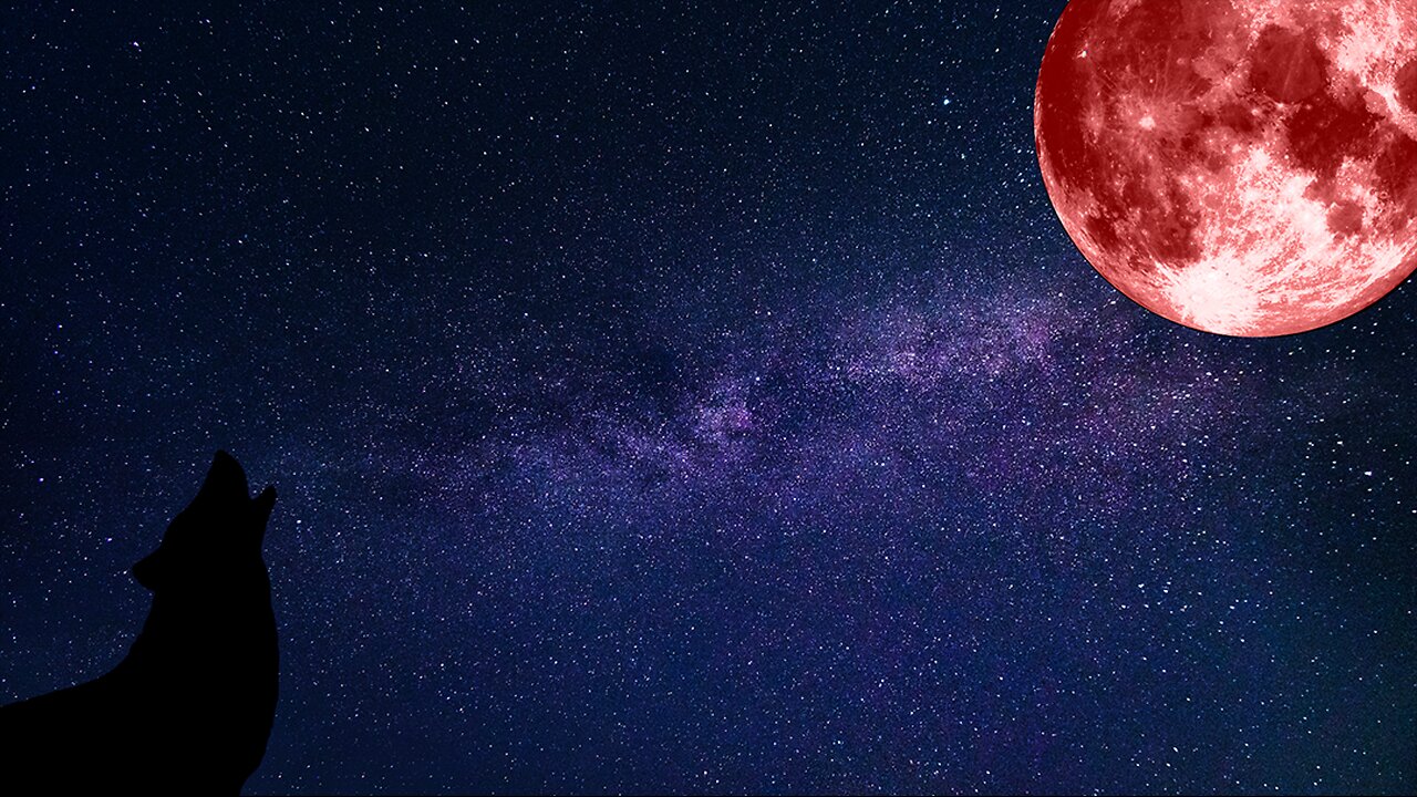 To the Maroon - 16