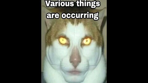 Anxiety and The Future of The Channel