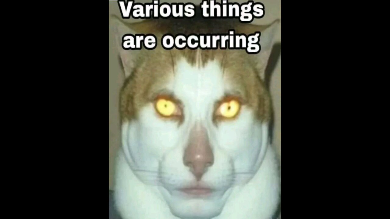 Anxiety and The Future of The Channel