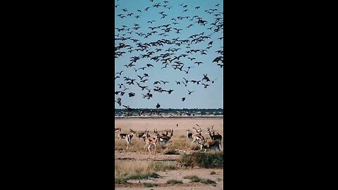 जीवन कही भी ठहरता नही है