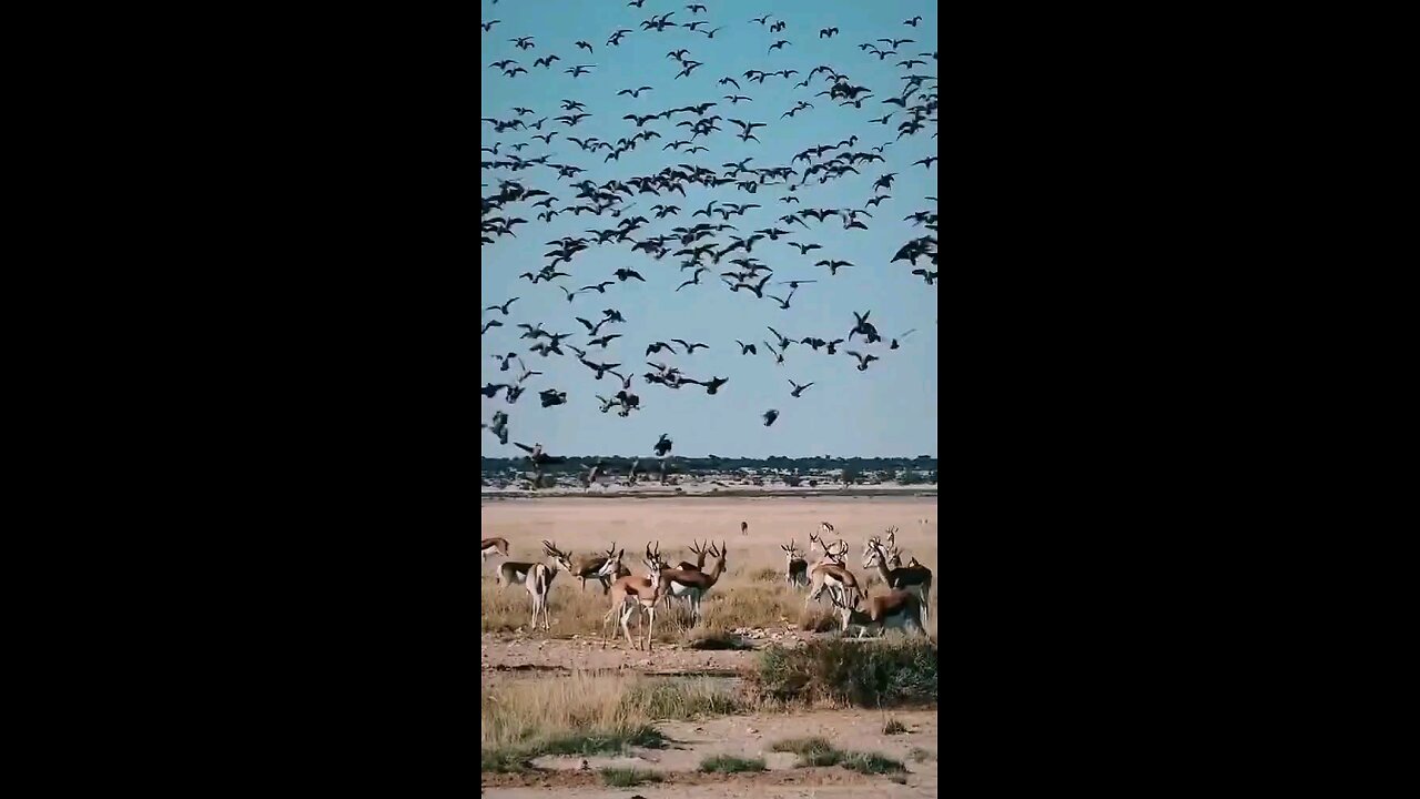 जीवन कही भी ठहरता नही है