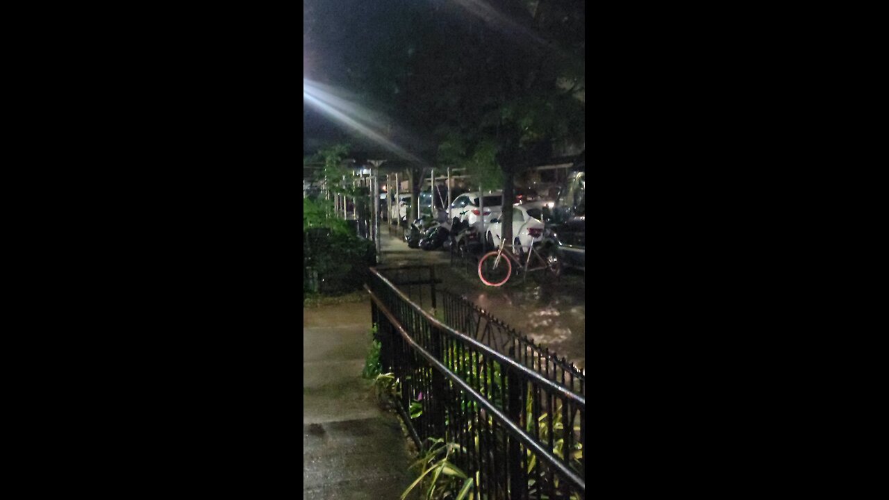 NY Predators Dept officers engaging in an attacks using noise and flashing lights.