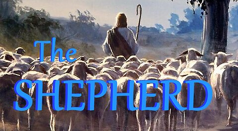 The SHEPHERD
