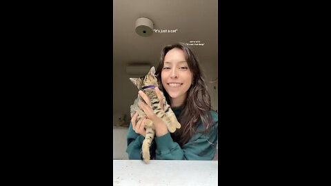 cats are precious