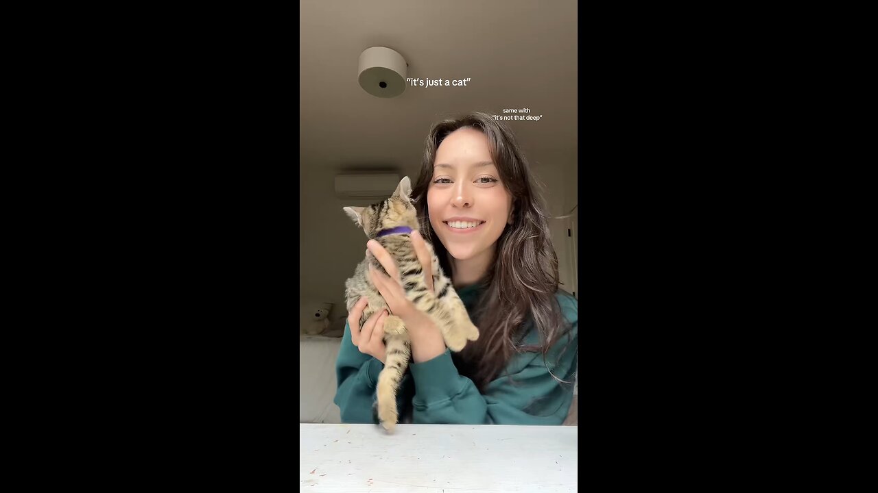 cats are precious