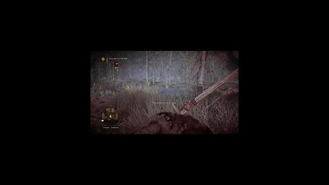 hunting