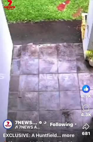 Seems like an Adelaide family is enjoying some cultural enrichment