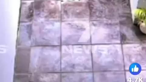 Seems like an Adelaide family is enjoying some cultural enrichment