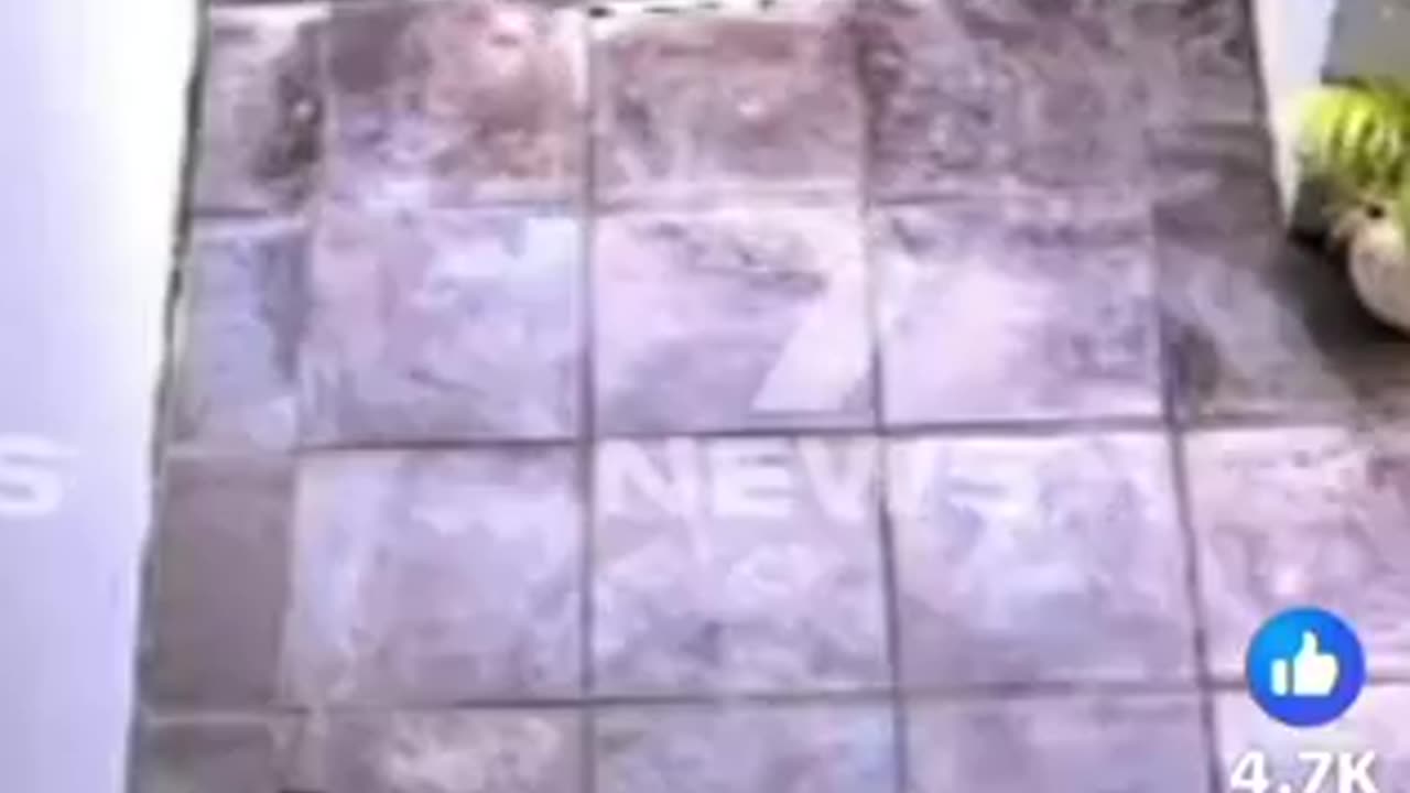 Seems like an Adelaide family is enjoying some cultural enrichment