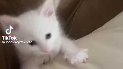 😂🏃‍♂️ You Won't Believe How This Guy Got Trapped! | FunFM