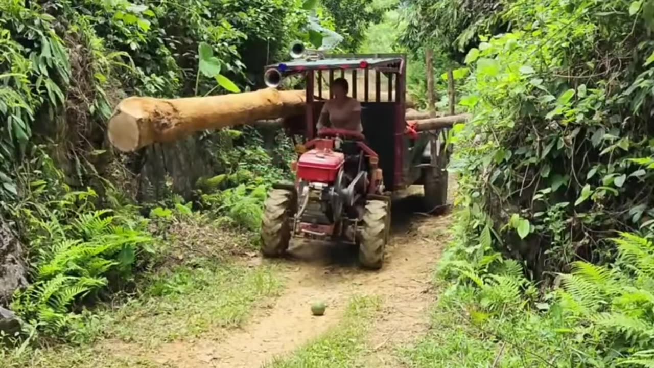 A beautiful girl tractor driving