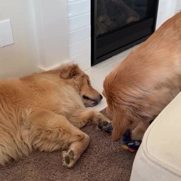 Deep sleep is the thief’s best friend