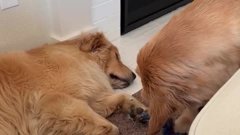 Deep sleep is the thief’s best friend