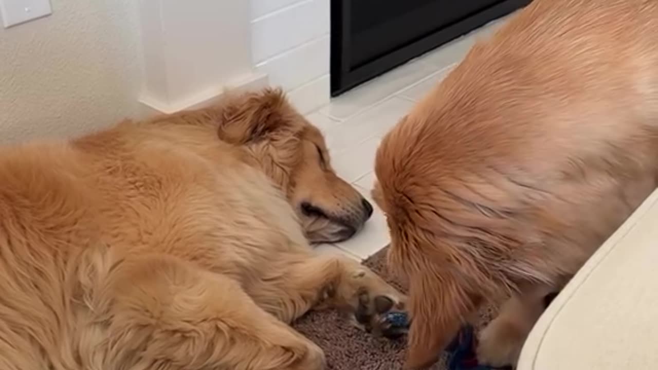 Deep sleep is the thief’s best friend