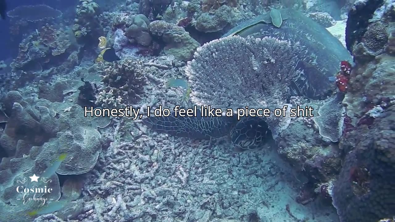 AITA for not wanting to take care of my 6 y/o siblings in foster care?