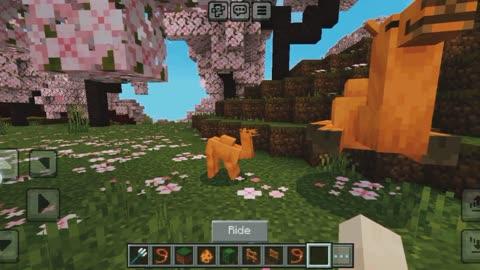How to breed camel in Minecraft
