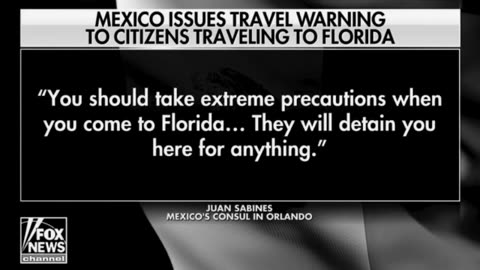 Mexico's Consul Warns Mexicans That They Will Be Arrested If They Come To The US ILLEGALLY