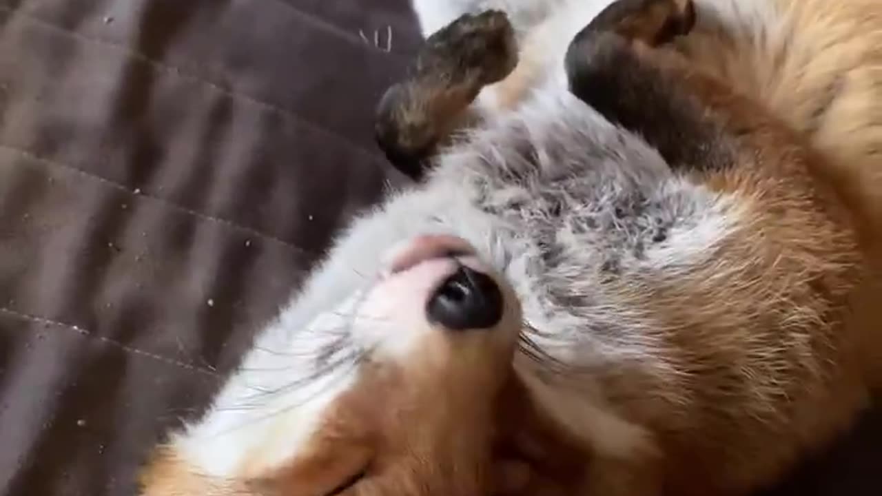 in love with this creature