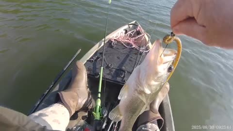 Fish on! A little over 1 #. Fun to catch!