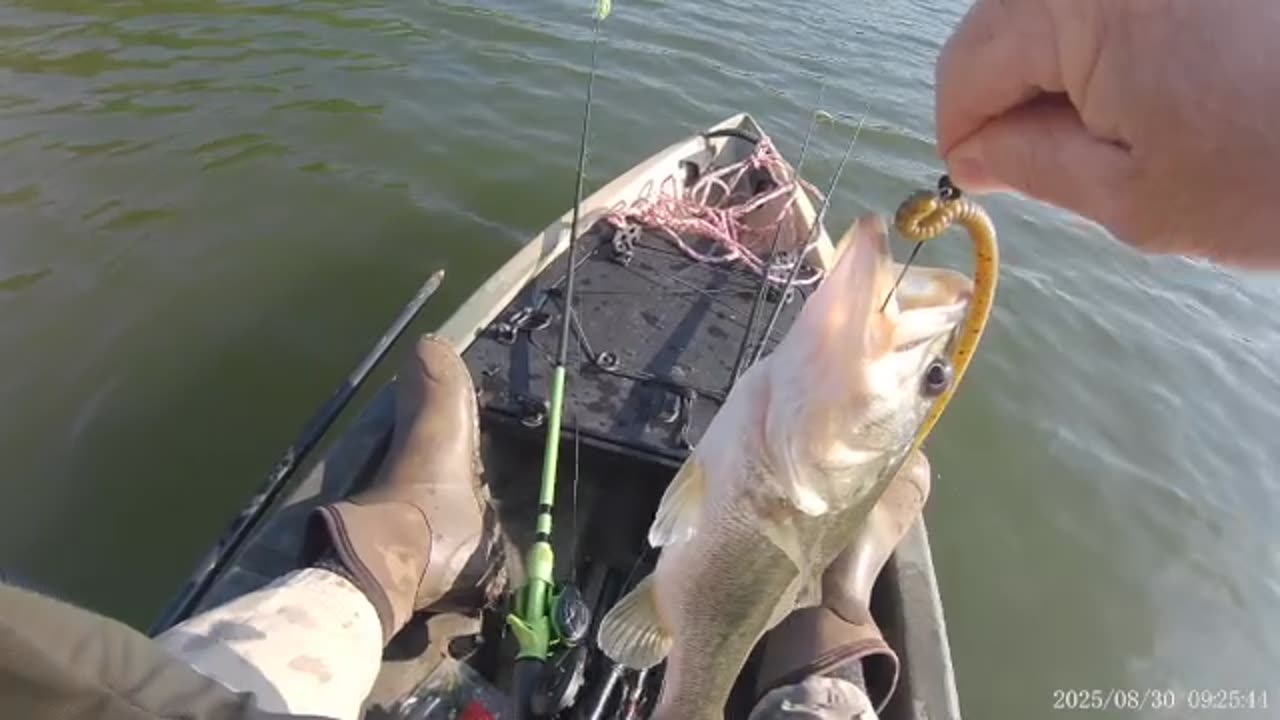 Fish on! A little over 1 #. Fun to catch!