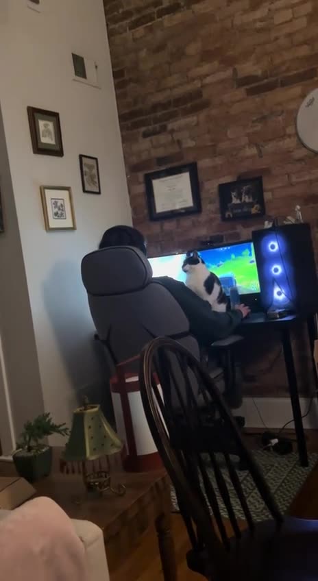 Interact with me damn it 😂