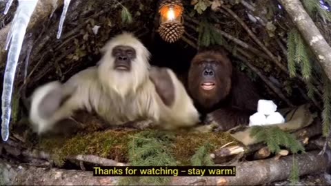 Yeti Hilariously ROASTS Uber Eats, Becomes a Pro Archer