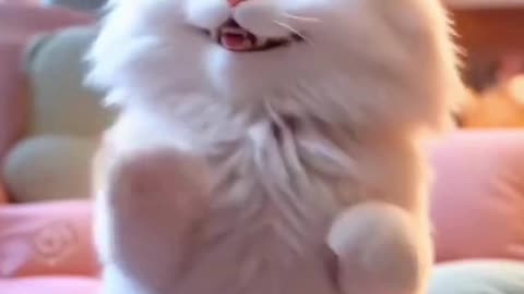 🤣 Watch These Clumsy Kittens FunnyCatVideos"This Ordinary Cat Become