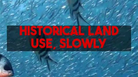 AI Uncovers Hidden Productivity Bottlenecks in Eelgrass Ecosystems