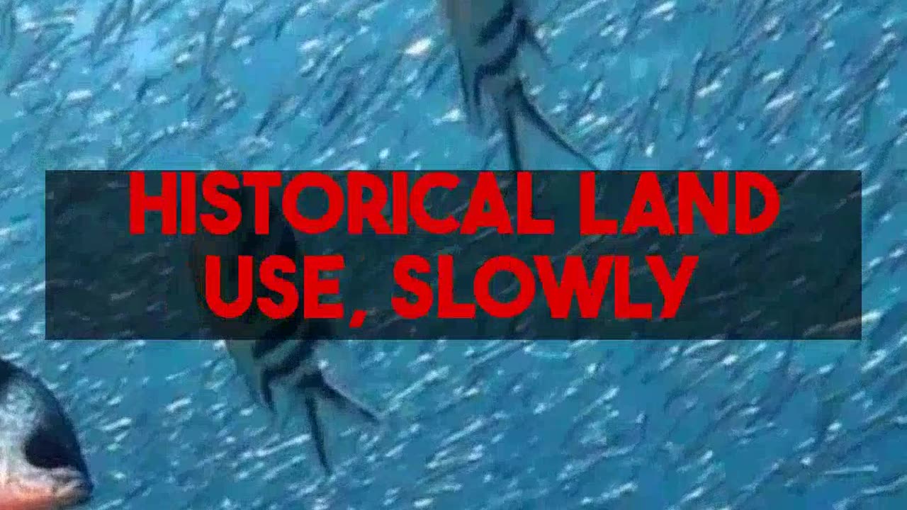 AI Uncovers Hidden Productivity Bottlenecks in Eelgrass Ecosystems