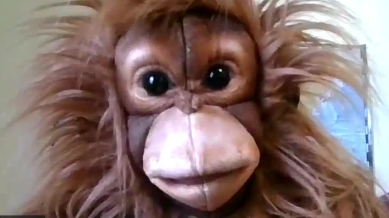 Oscar Impersonation on Maxine Waters... (Funny Parody)