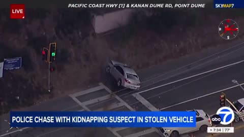 Carjacker with 3 kids in car crashes in LA