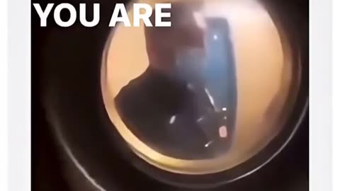 😂💡 You Won't Believe This Clever Solution! | FunFM