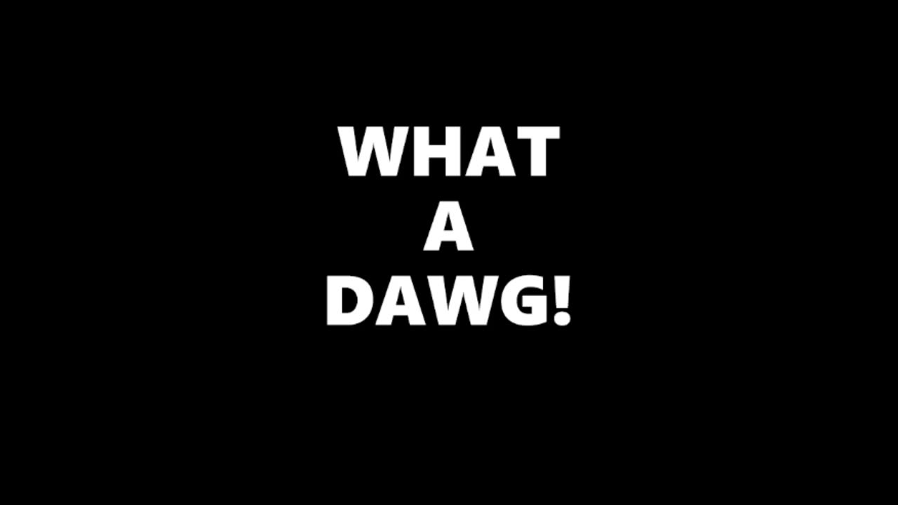 WHAT A DAWG!
