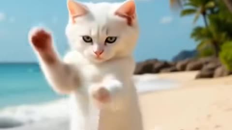 "A small cat can carry a big love – that’s serenity."