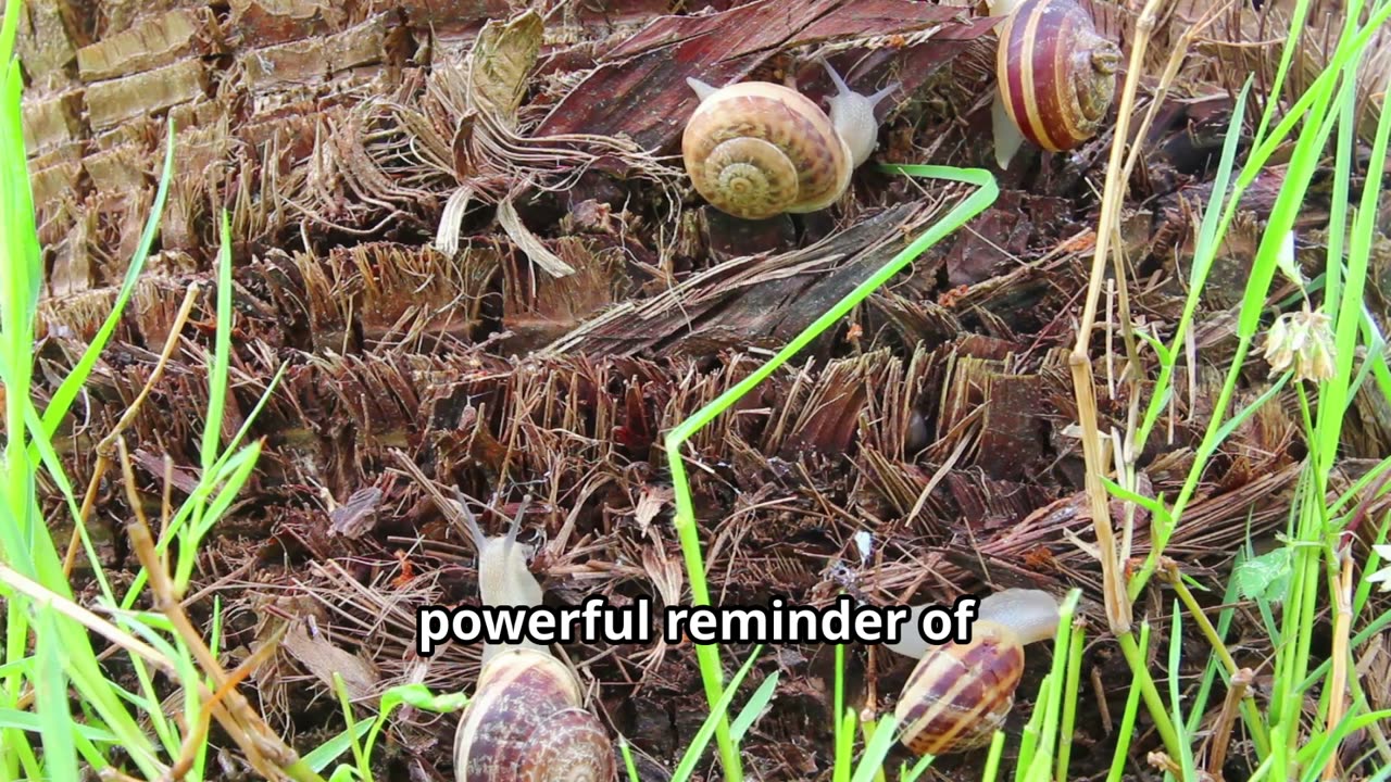 Snails Sleep for 3 Years ?! - Plus a Mind Blowing Fact That Will Shock You !