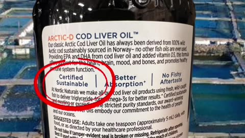 Why Norwegian Fish Oil Might Be DANGEROUS For You!