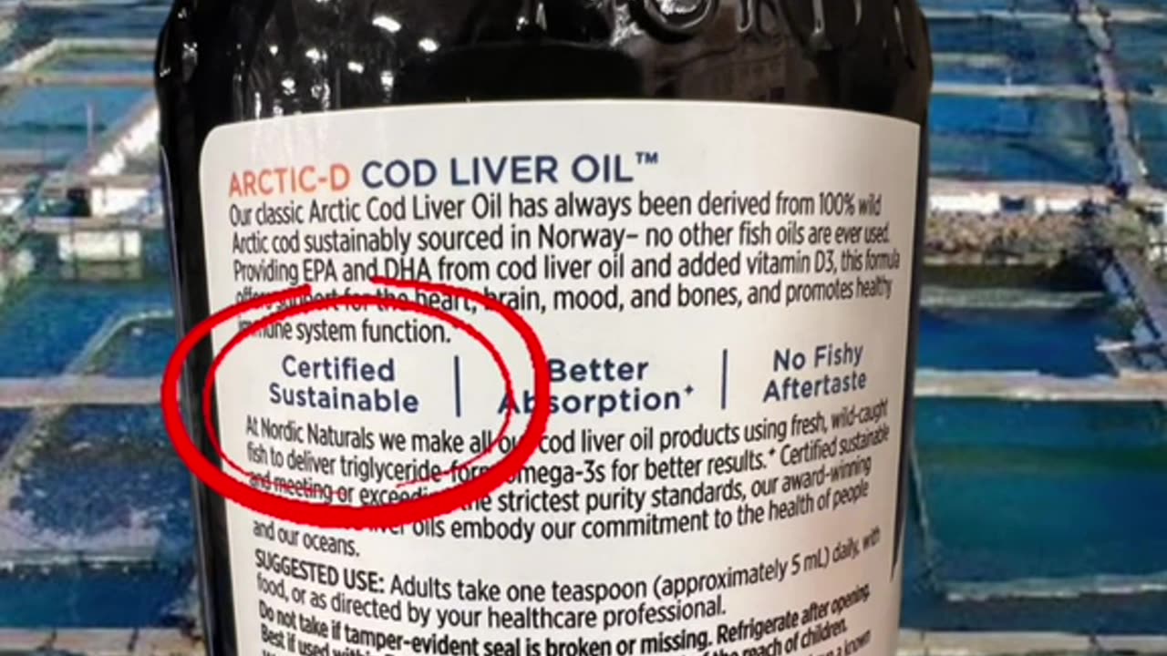 Why Norwegian Fish Oil Might Be DANGEROUS For You!