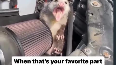 😂🎵 When It's Your Favorite Part of the Song... | FunFM