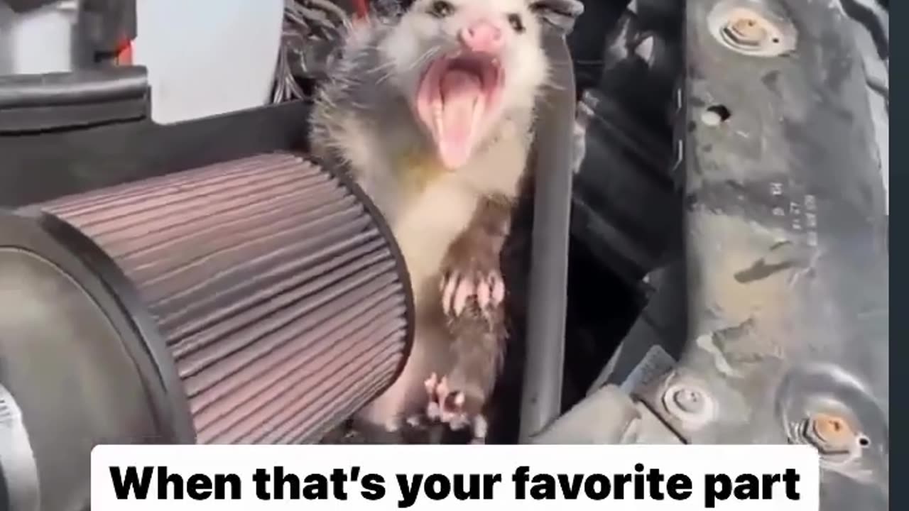 😂🎵 When It's Your Favorite Part of the Song... | FunFM