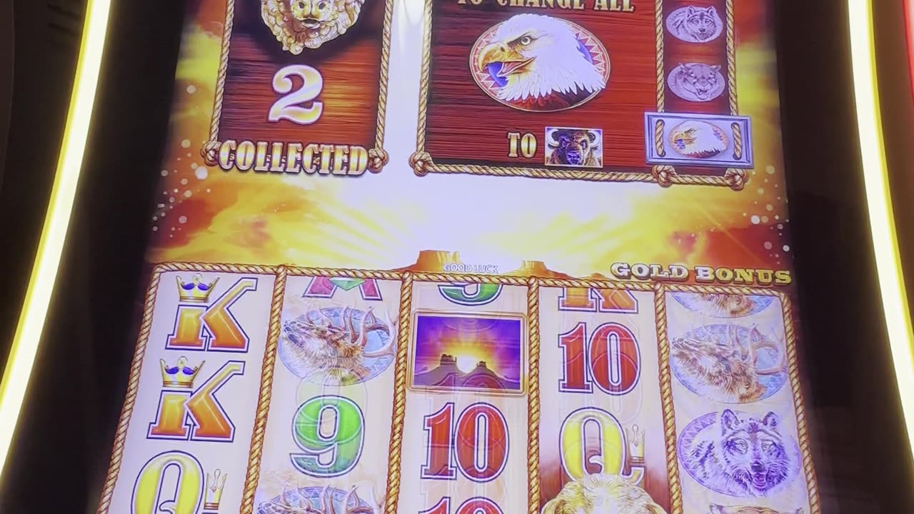 Bonus on #BuffaloGold 💥🎰⚡