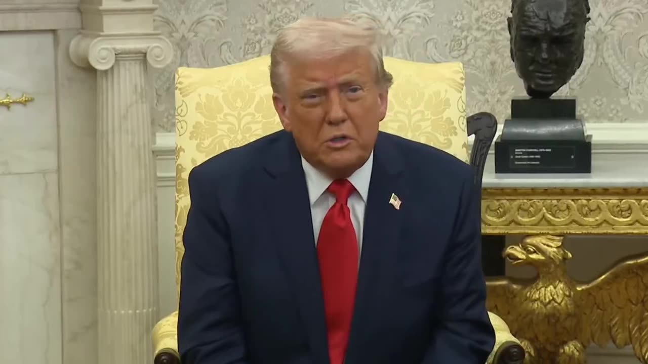 Zelensky Should Have Never Started The War • Donald Trump