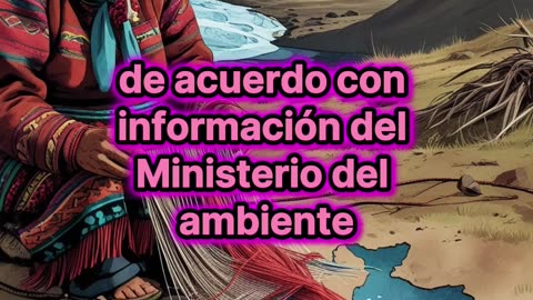 El cambio climático causó que Ecuador pierda más del 40% de sus glaciares en un cuarto de siglo.